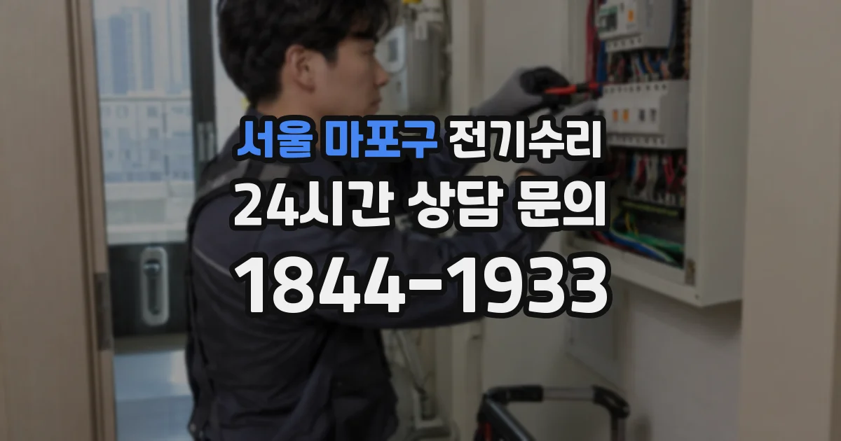 서울 마포구 전기수리