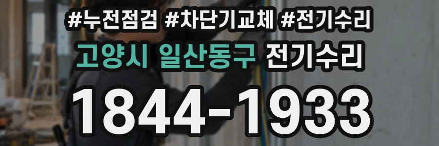 고양시 일산동구 전기수리