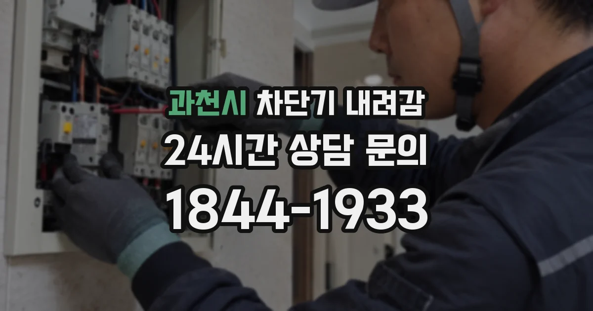 과천시 차단기 내려감