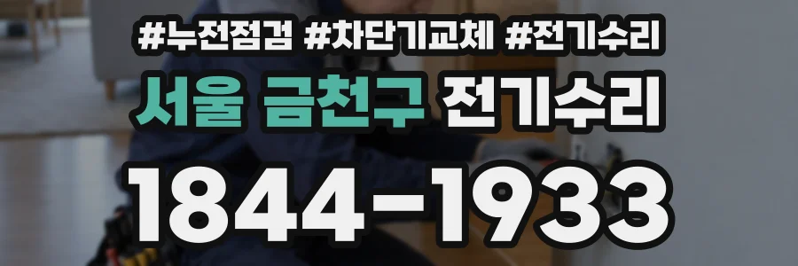 서울 금천구 전기수리