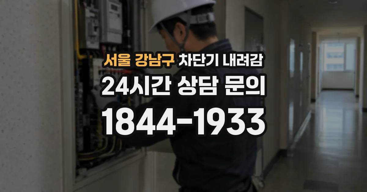 서울 강남구 차단기 내려감