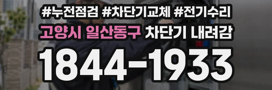 고양시 일산동구 차단기 내려감