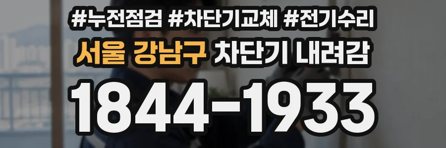 서울 강남구 차단기 내려감
