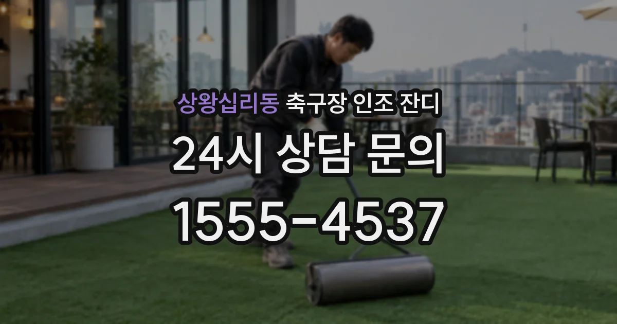 상왕십리동 축구장 인조 잔디