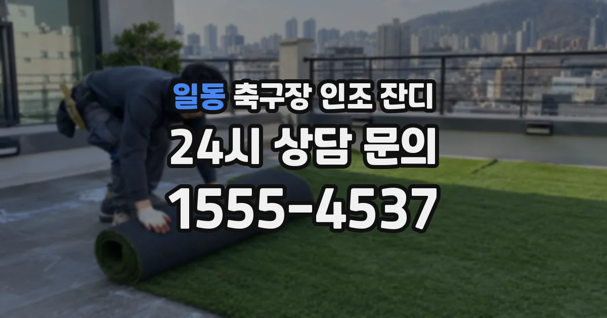 일동 축구장 인조 잔디