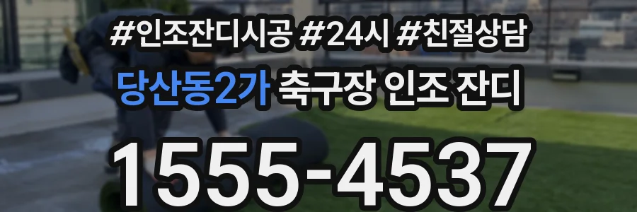 당산동2가 축구장 인조 잔디