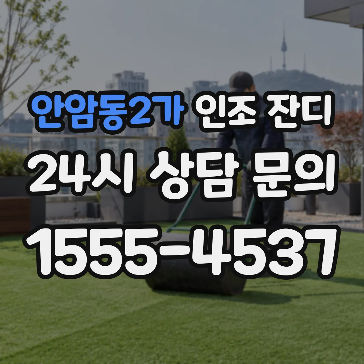 안암동2가 인조 잔디