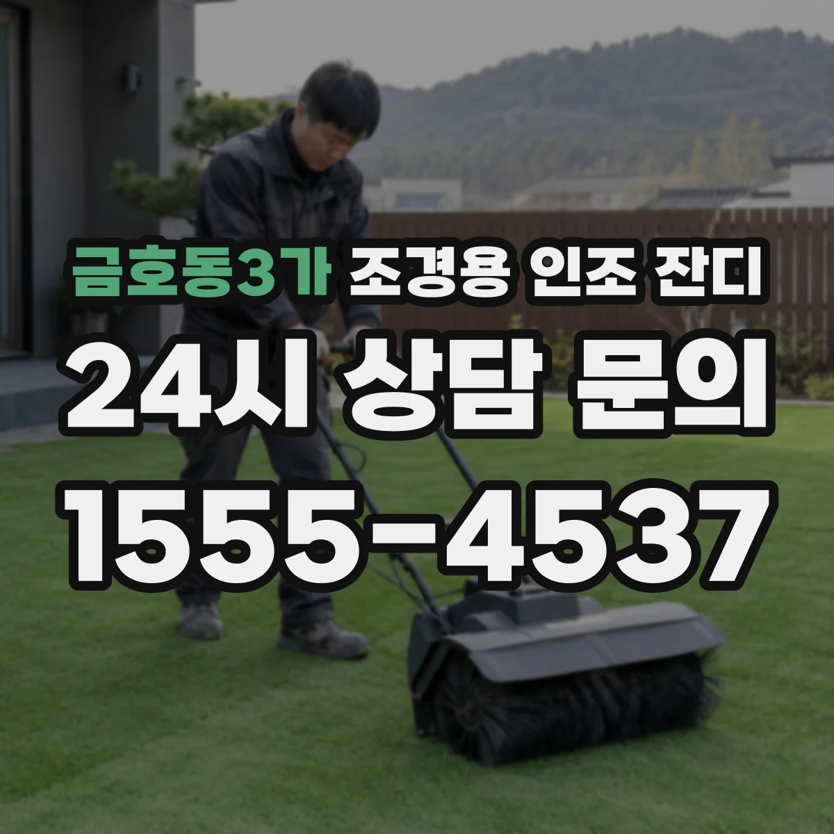 금호동3가 조경용 인조 잔디