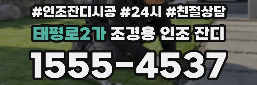 태평로2가 조경용 인조 잔디