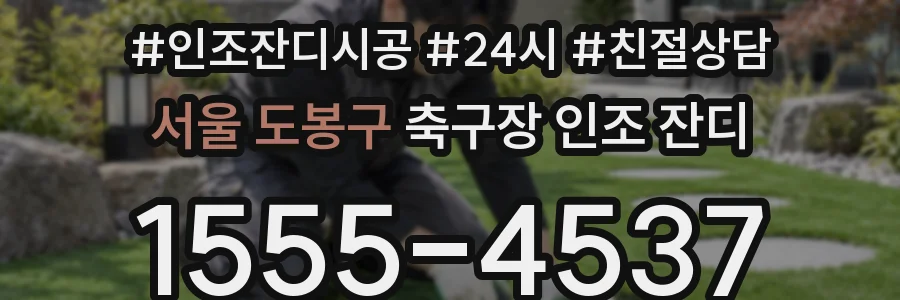 서울 도봉구 축구장 인조 잔디