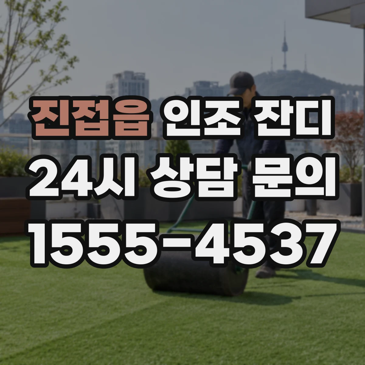진접읍 인조 잔디