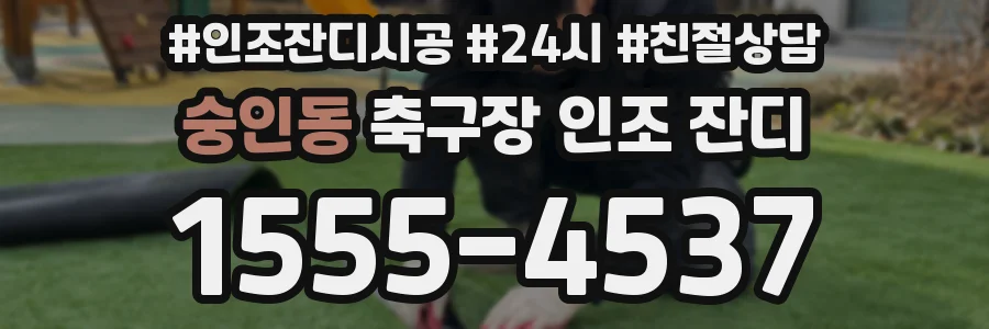 숭인동 축구장 인조 잔디