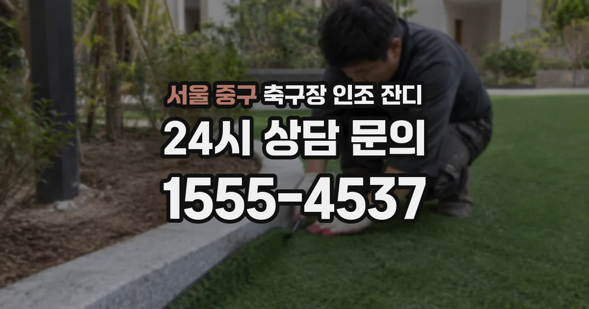 서울 중구 축구장 인조 잔디