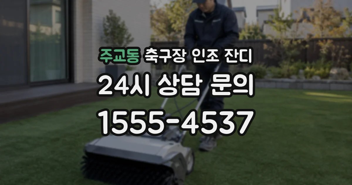 주교동 축구장 인조 잔디