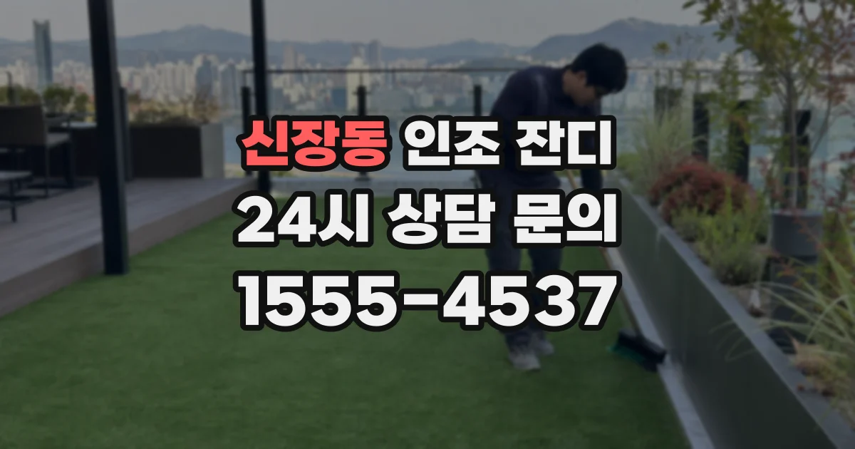 신장동 인조 잔디