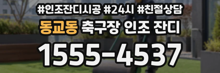 동교동 축구장 인조 잔디