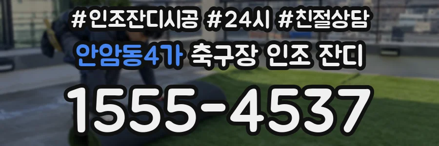 안암동4가 축구장 인조 잔디