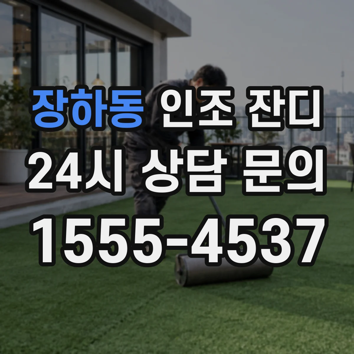 장하동 인조 잔디