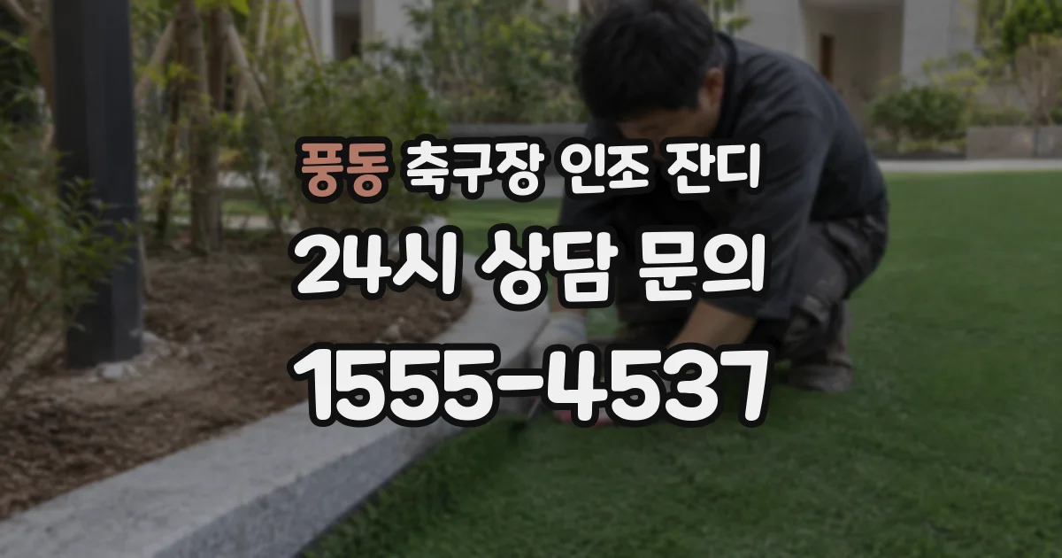 풍동 축구장 인조 잔디