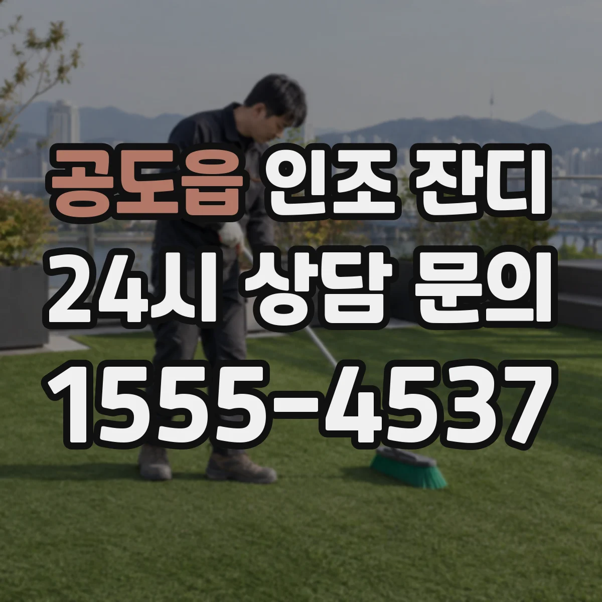 공도읍 인조 잔디