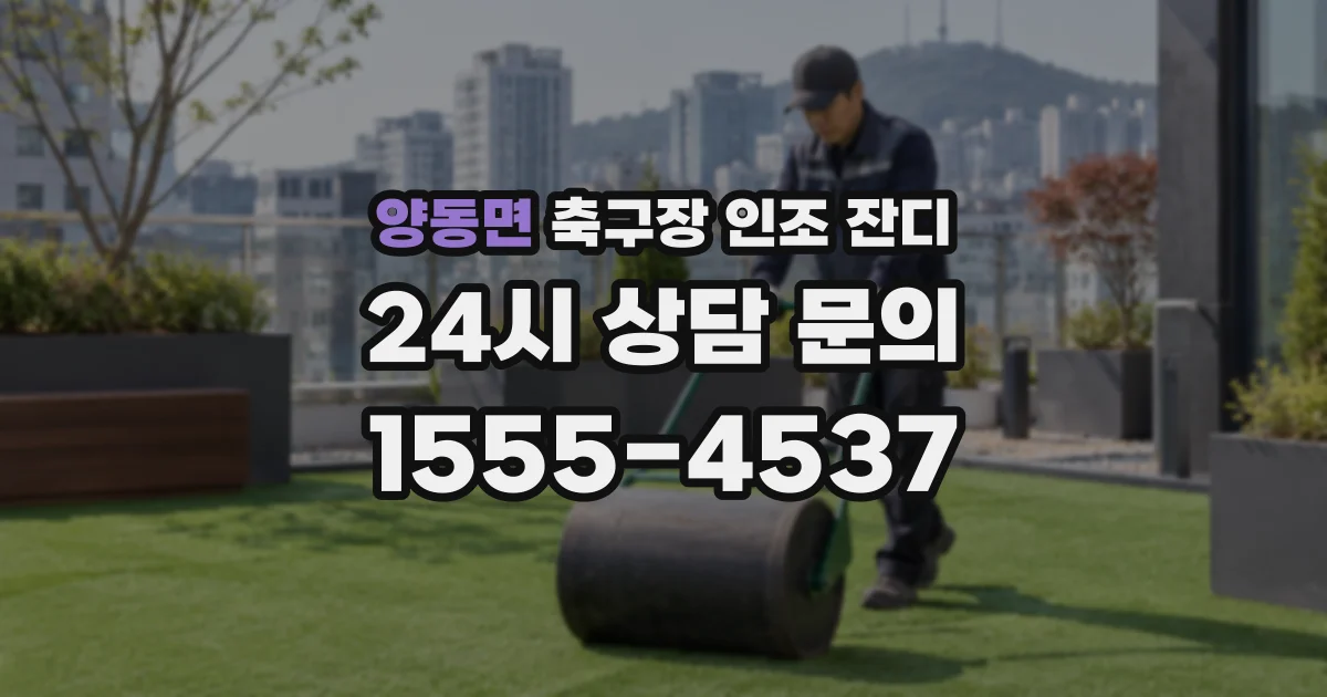 양동면 축구장 인조 잔디