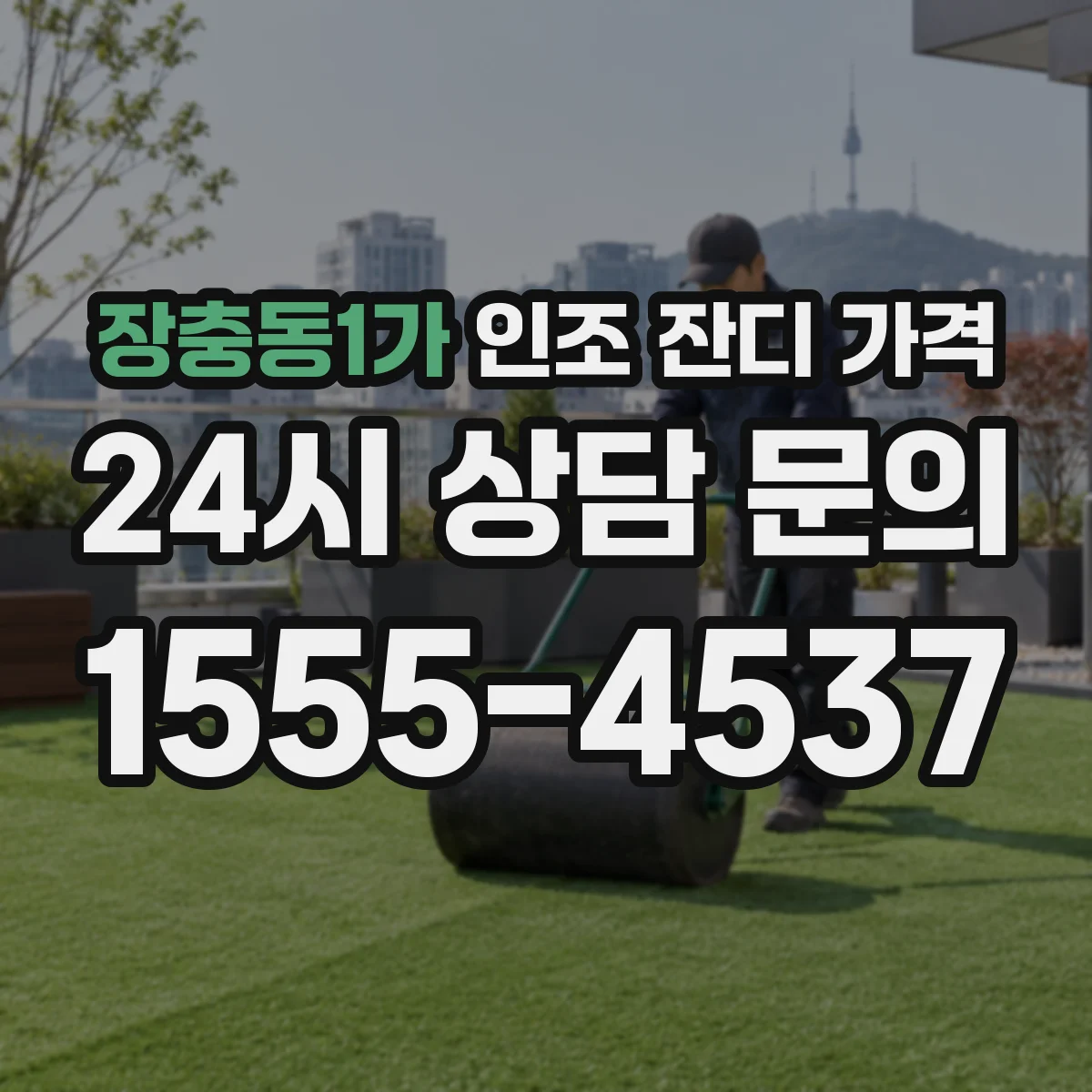 장충동1가 인조 잔디 가격