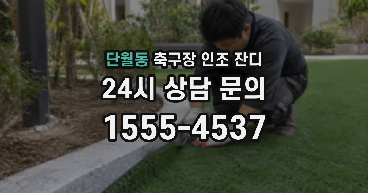 단월동 축구장 인조 잔디