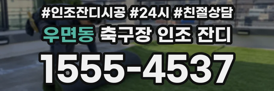 우면동 축구장 인조 잔디