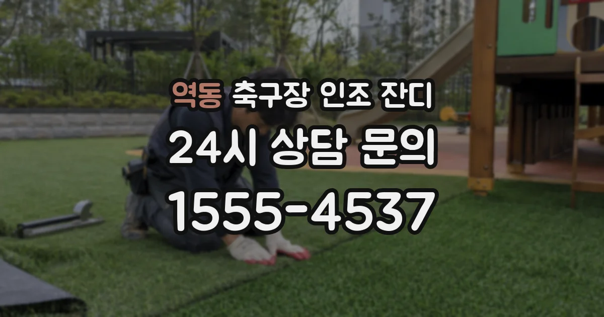 역동 축구장 인조 잔디