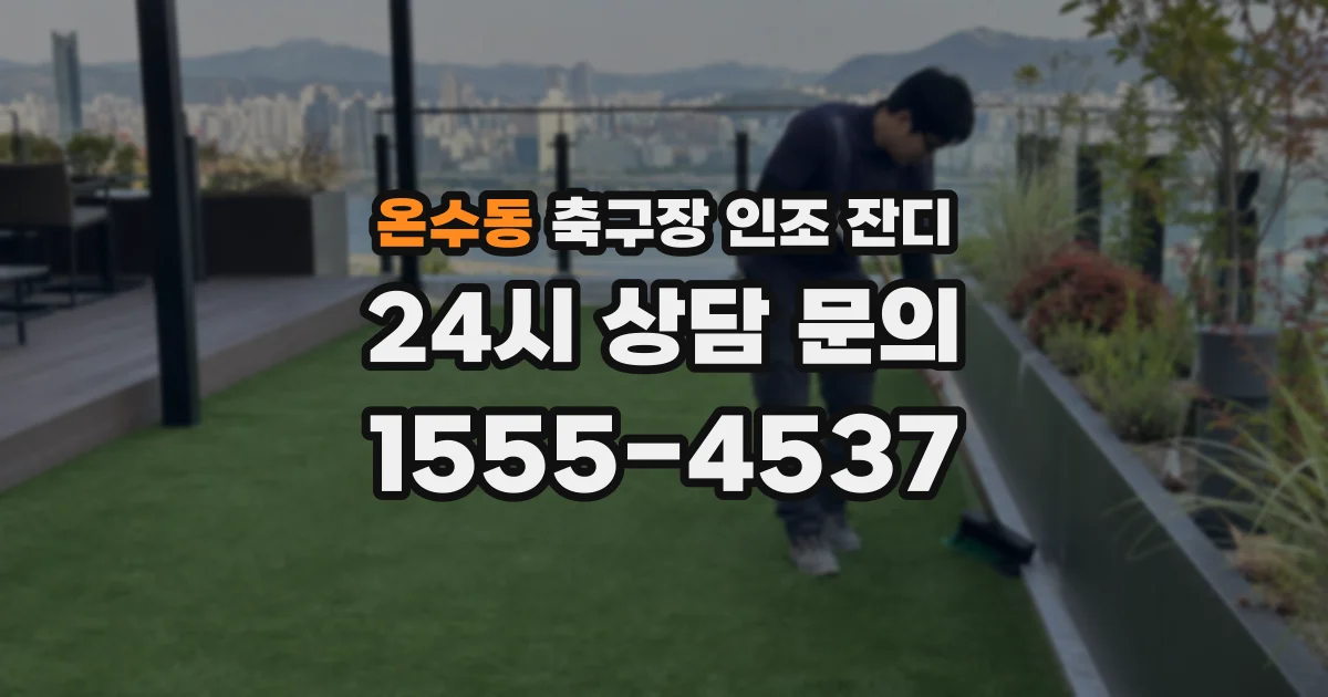 온수동 축구장 인조 잔디