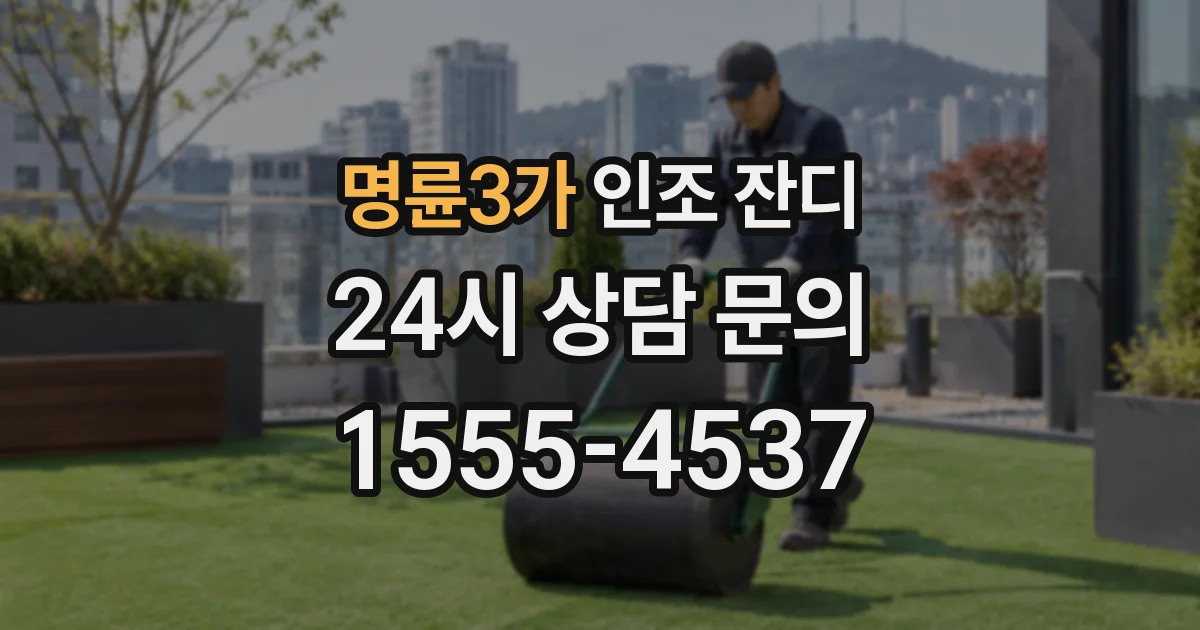 명륜3가 인조 잔디