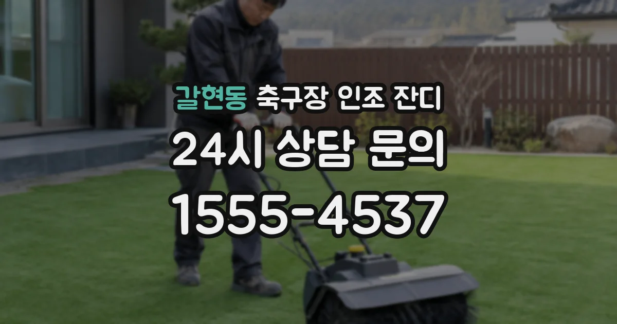 갈현동 축구장 인조 잔디