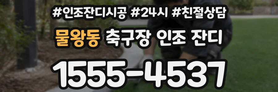 물왕동 축구장 인조 잔디