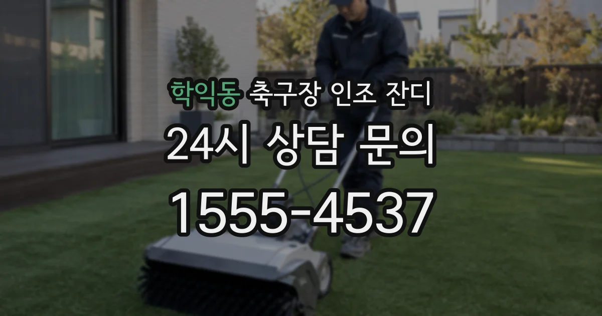 학익동 축구장 인조 잔디