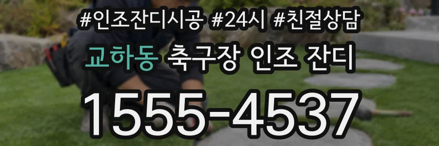 교하동 축구장 인조 잔디