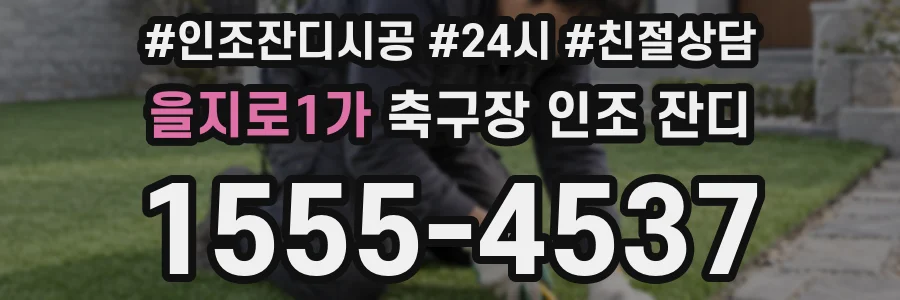 을지로1가 축구장 인조 잔디