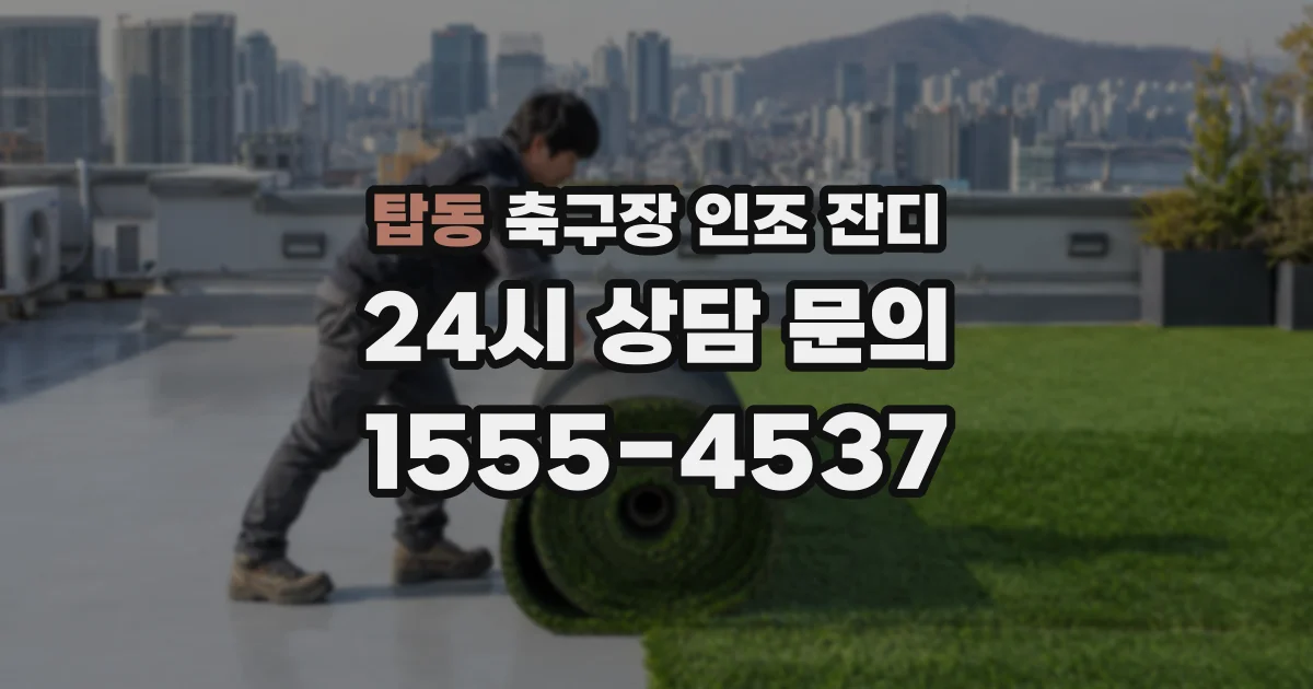 탑동 축구장 인조 잔디