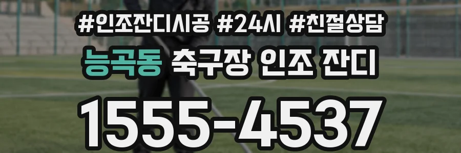 능곡동 축구장 인조 잔디