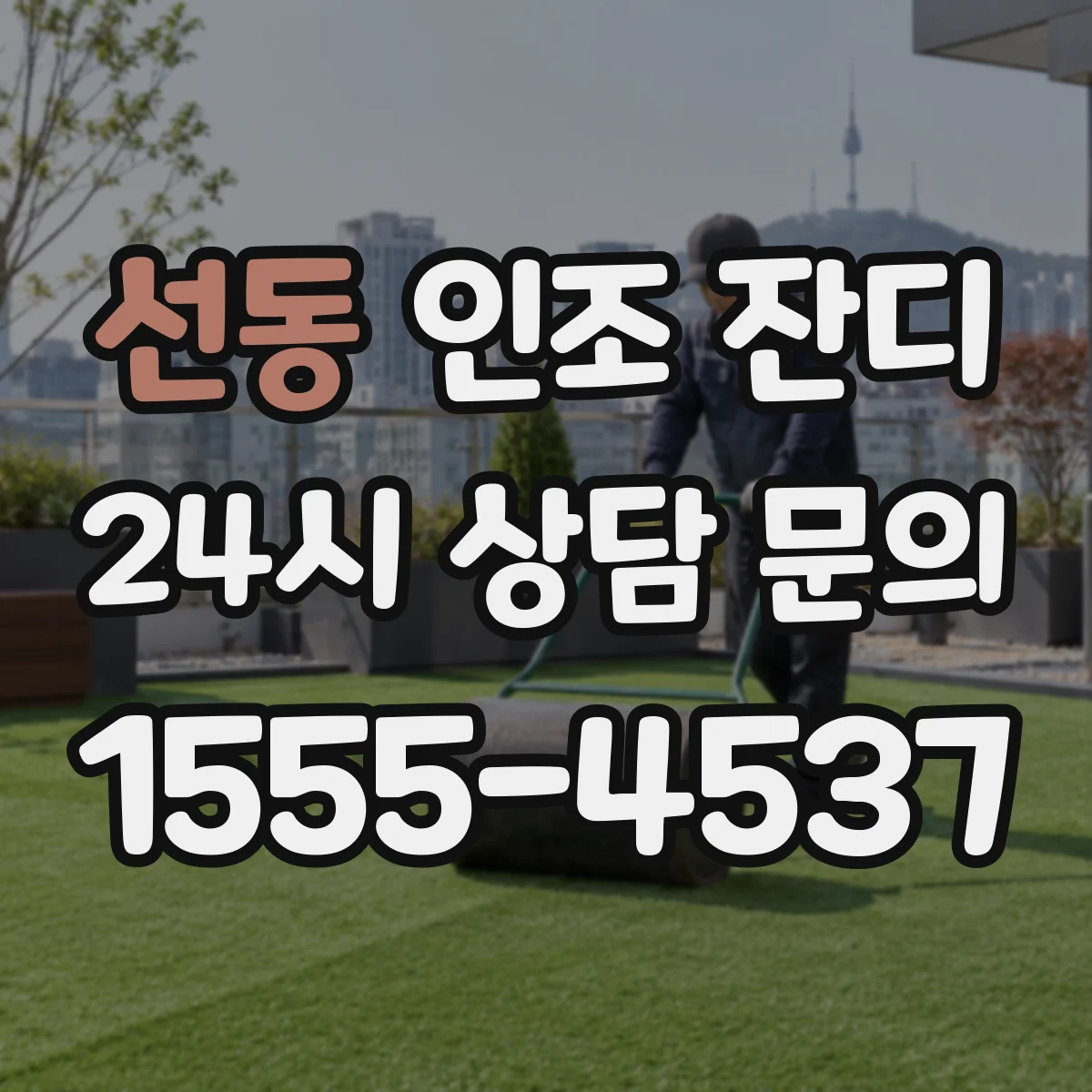 선동 인조 잔디
