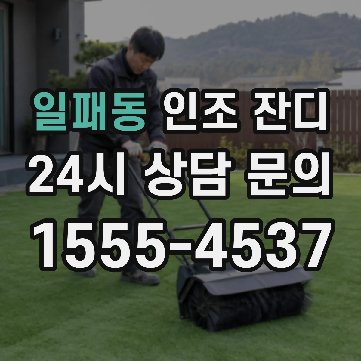 일패동 인조 잔디