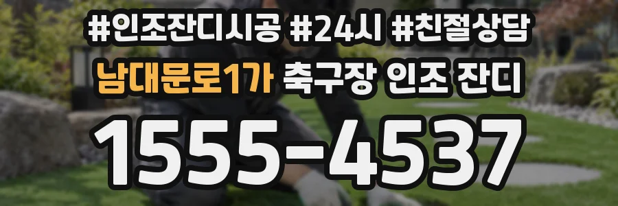 남대문로1가 축구장 인조 잔디