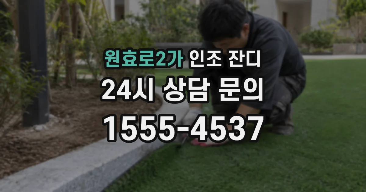 원효로2가 인조 잔디