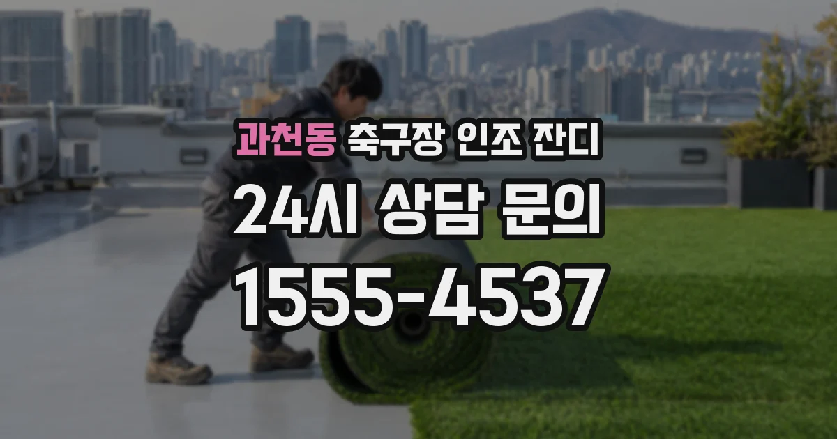 과천동 축구장 인조 잔디