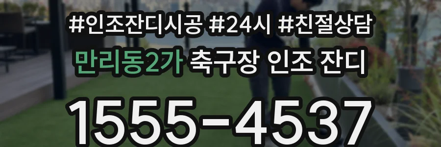 만리동2가 축구장 인조 잔디