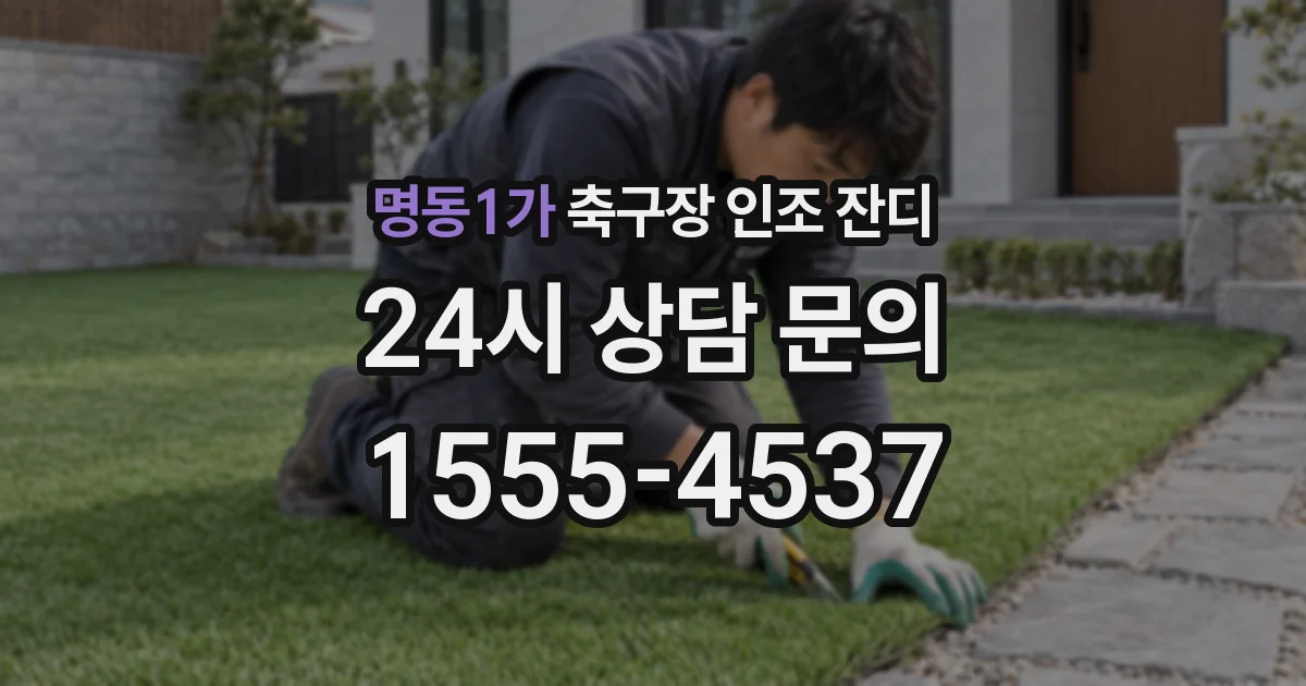 명동1가 축구장 인조 잔디