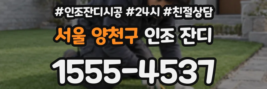 서울 양천구 인조 잔디