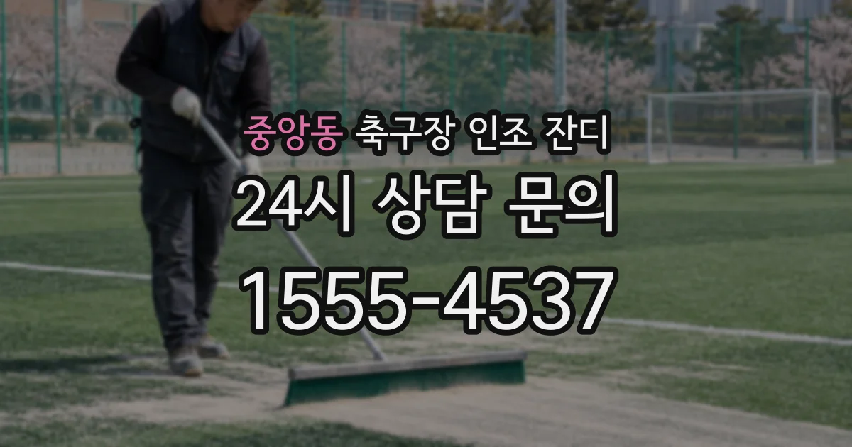 중앙동 축구장 인조 잔디