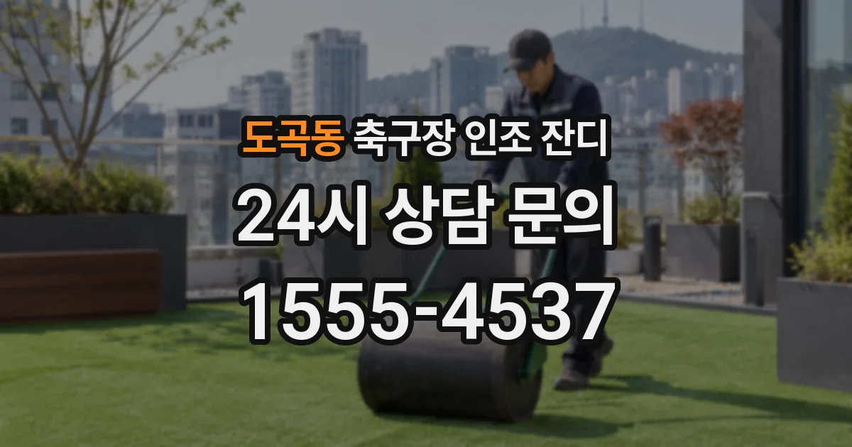 도곡동 축구장 인조 잔디