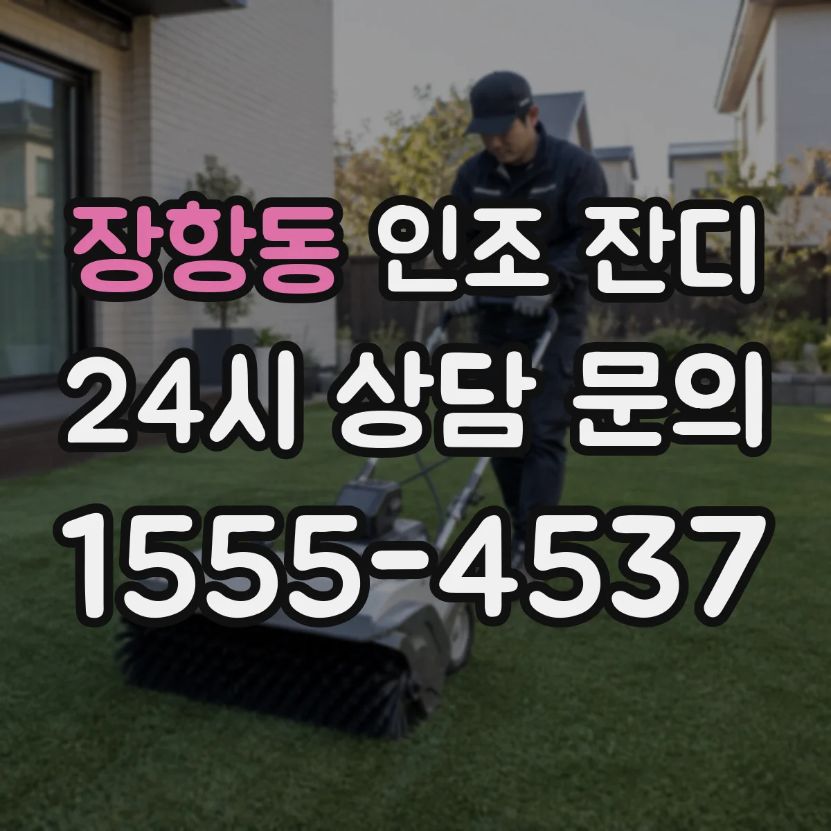 장항동 인조 잔디