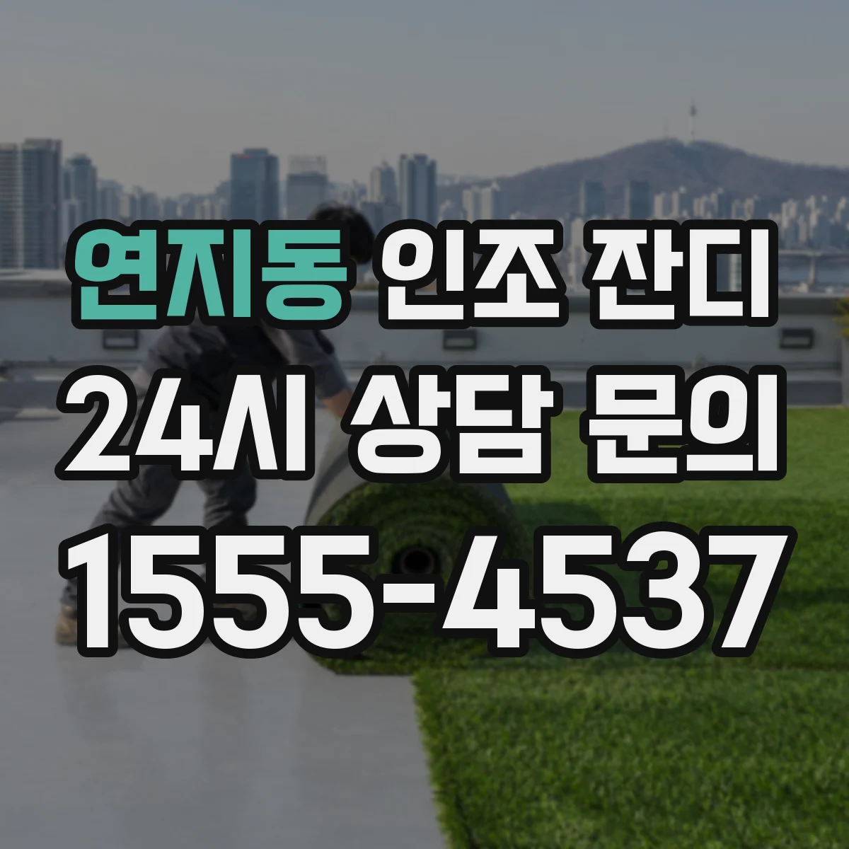 연지동 인조 잔디
